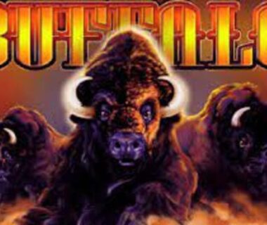 how to win at buffalo slots